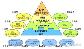 2010版GMP附錄《計(jì)算機(jī)化系統(tǒng)》整體解讀與條款精華解析